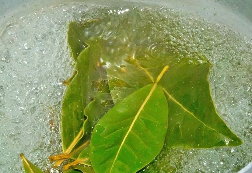 Decoction of bay leaf